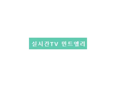 실시간TV 민트엘리